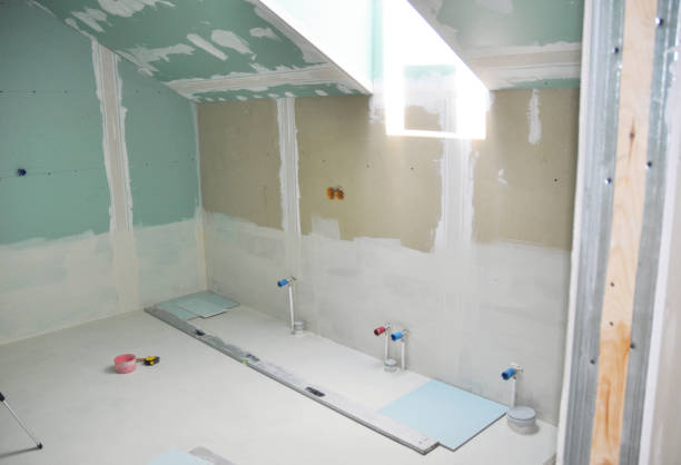 Best Biohazard Mold Removal  in Washoe Valley, NV