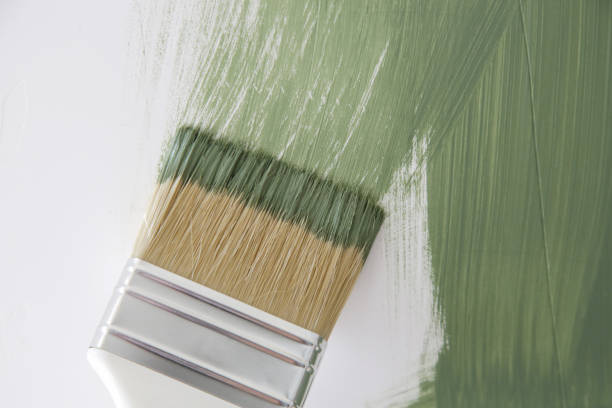 Best Water Damage & Mold Remediation  in Washoe Valley, NV