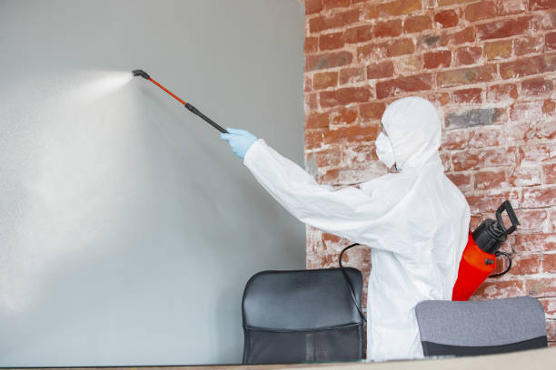 Best Real Estate Mold Inspection  in Washoe Valley, NV