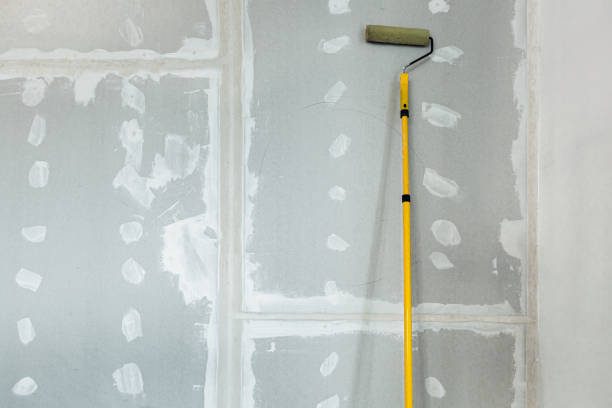 Best Comprehensive Air Testing for Mold Contaminants  in Washoe Valley, NV