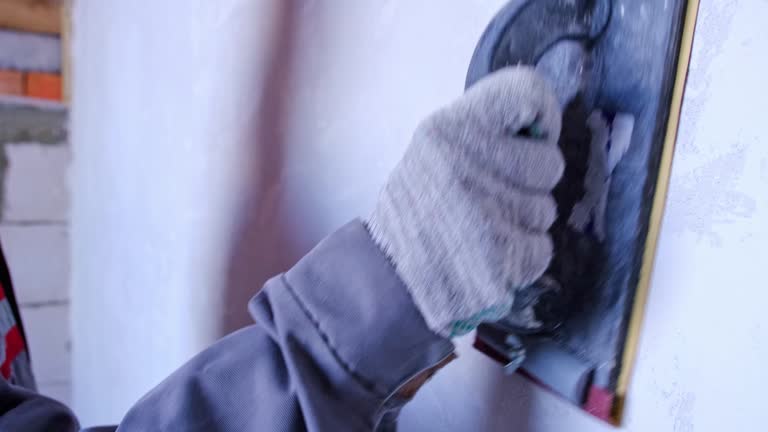 Best Mold Remediation for Vacation Homes  in Washoe Valley, NV