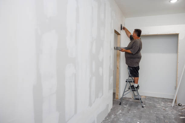 Best Industrial Mold Remediation  in Washoe Valley, NV