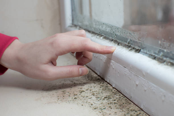 Best Indoor Air Quality Assessment  in Washoe Valley, NV