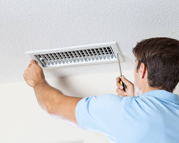 Best Post-Construction Mold Inspection  in Washoe Valley, NV