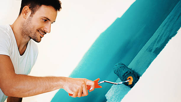 Best Basement Mold Removal  in Washoe Valley, NV