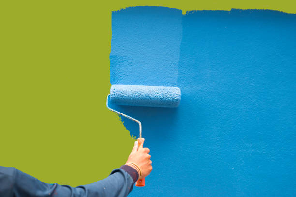 Best Attic Mold Removal  in Washoe Valley, NV